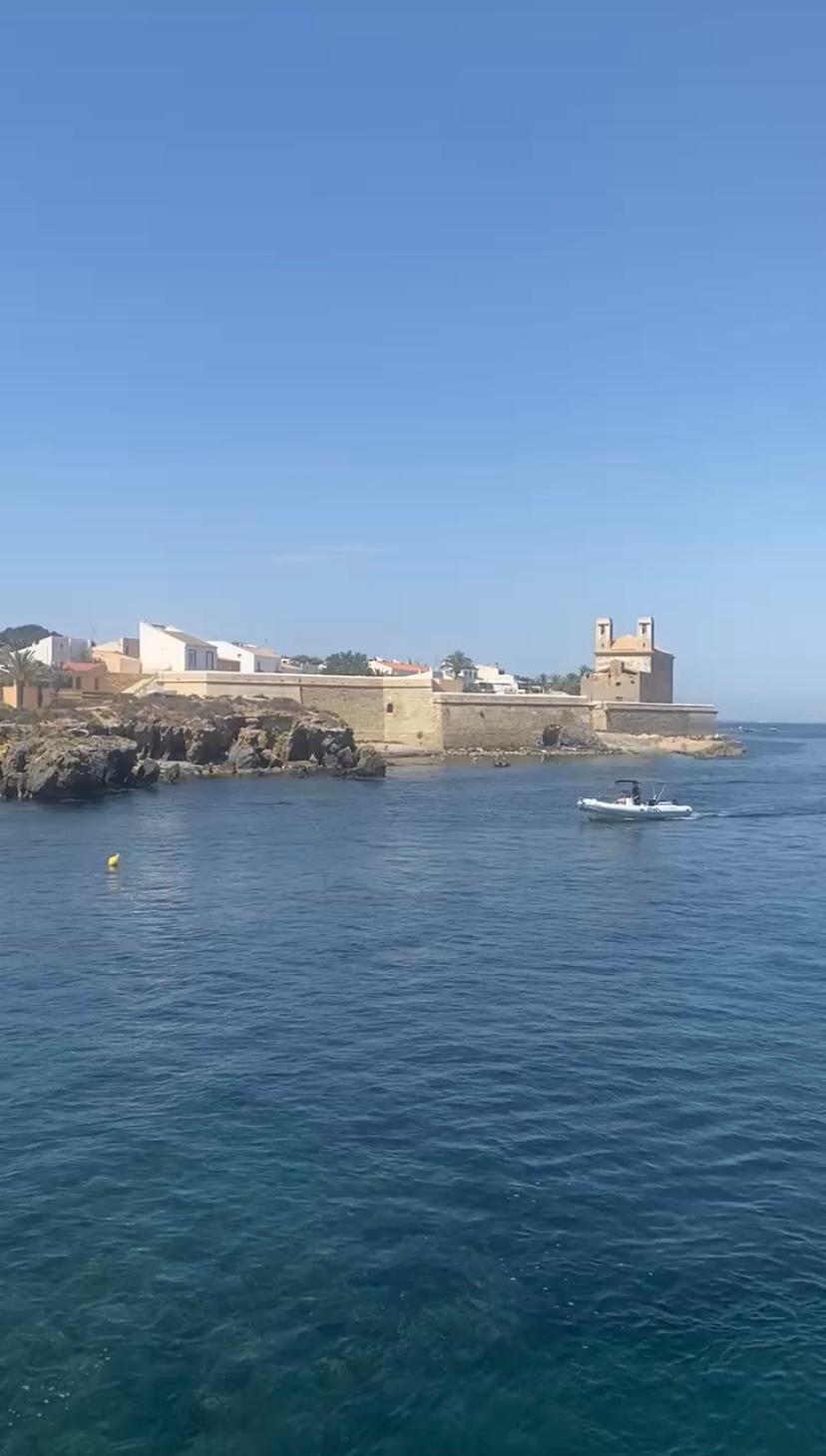 WhatsApp Image 2026 04 29 at 13.52.52