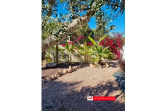Las Comunicaciones 7-bedroom villa on large corner plot, San Miguel de Salinas-06