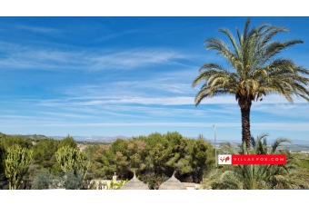 Las Comunicaciones 7-bedroom villa on large corner plot, San Miguel de Salinas-12