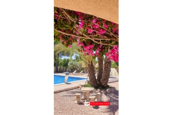Las Comunicaciones 7-bedroom villa on large corner plot, San Miguel de Salinas-24