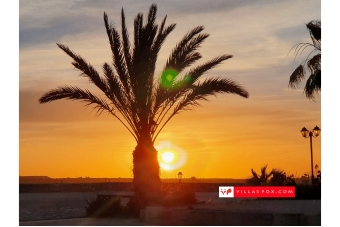 Las Comunicaciones 7-bedroom villa on large corner plot, San Miguel de Salinas-26
