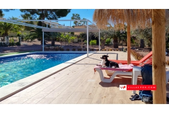Las Comunicaciones 7-bedroom villa on large corner plot, San Miguel de Salinas-35