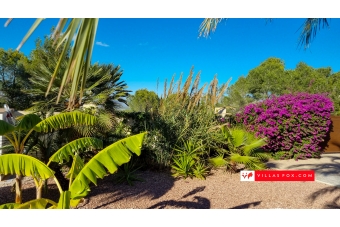 Las Comunicaciones 7-bedroom villa on large corner plot, San Miguel de Salinas-38
