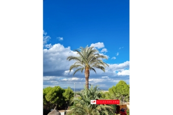 Las Comunicaciones 7-bedroom villa on large corner plot, San Miguel de Salinas-47