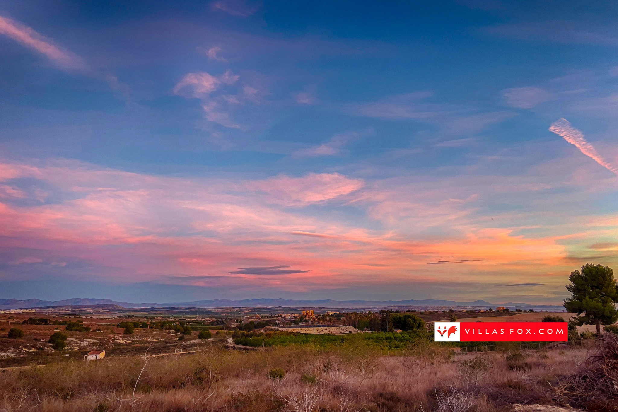 Generic stock photograph (San Miguel de Salinas and Orihuela Costa)-061 Generic stock photograph (San Miguel de Salinas and Orihuela Costa)-061