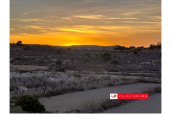 41-San Miguel de Salinas and Orihuela Costa is a great place to live-030