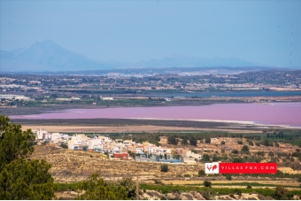 51-San Miguel de Salinas and Orihuela Costa is a great place to live-134