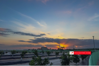 Amanecer en campo de naranjos San Miguel de Salinas