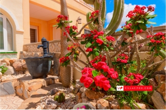 Balcon de la Costa Blanca San Miguel de Salinas semi-detached home for sale-48
