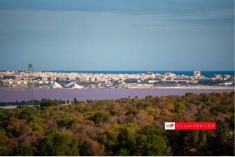 Best selection of properties in San Miguel de Salinas and Orihuela Costa by Villas Fox-010