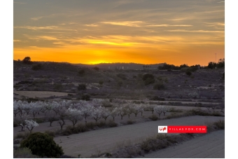 Best selection of properties in San Miguel de Salinas and Orihuela Costa by Villas Fox-042