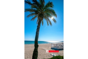 Best selection of properties in San Miguel de Salinas and Orihuela Costa by Villas Fox-091
