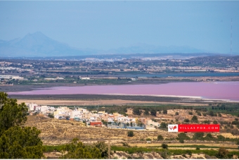 Best selection of properties in San Miguel de Salinas and Orihuela Costa by Villas Fox-146