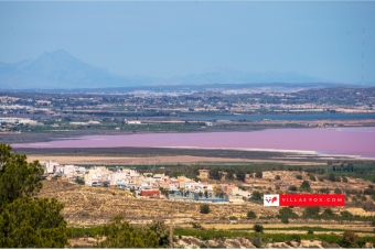 Generic stock photograph (San Miguel de Salinas and Orihuela Costa)-160 Generic stock photograph (San Miguel de Salinas and Orihuela Costa)-160