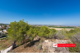 Los Pinos ground-floor studio apartment, San Miguel de Salinas-20 Los Pinos ground-floor studio apartment, San Miguel de Salinas-20