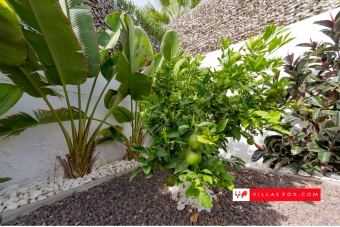 Vistabella Golf semi-detached villa with pool for sale-43