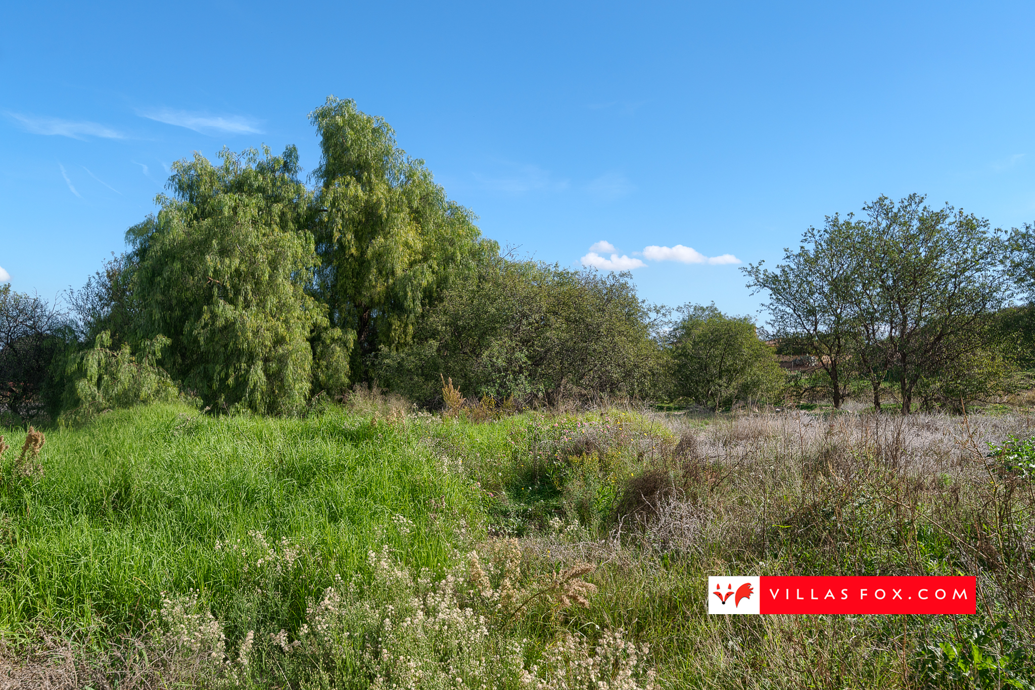 Costa Paraiso II apartment for sale San Miguel de Salinas-76