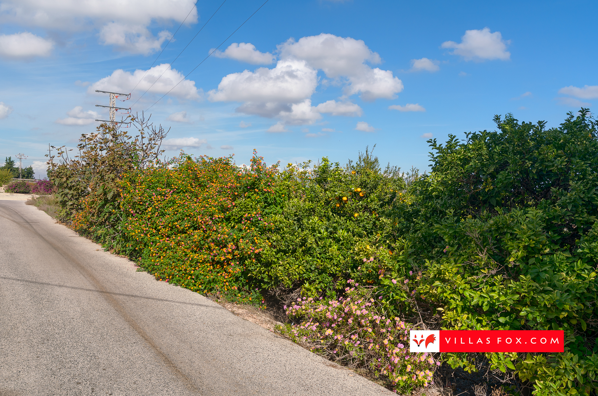 Costa Paraiso II apartment for sale San Miguel de Salinas-66