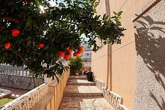 San Miguel de Salinas ground-floor apartment with garden-21