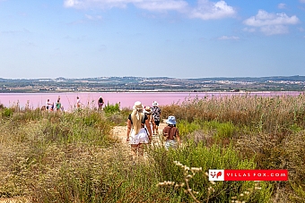 Stock photo San Miguel de Salinas Orihuela Costa-040