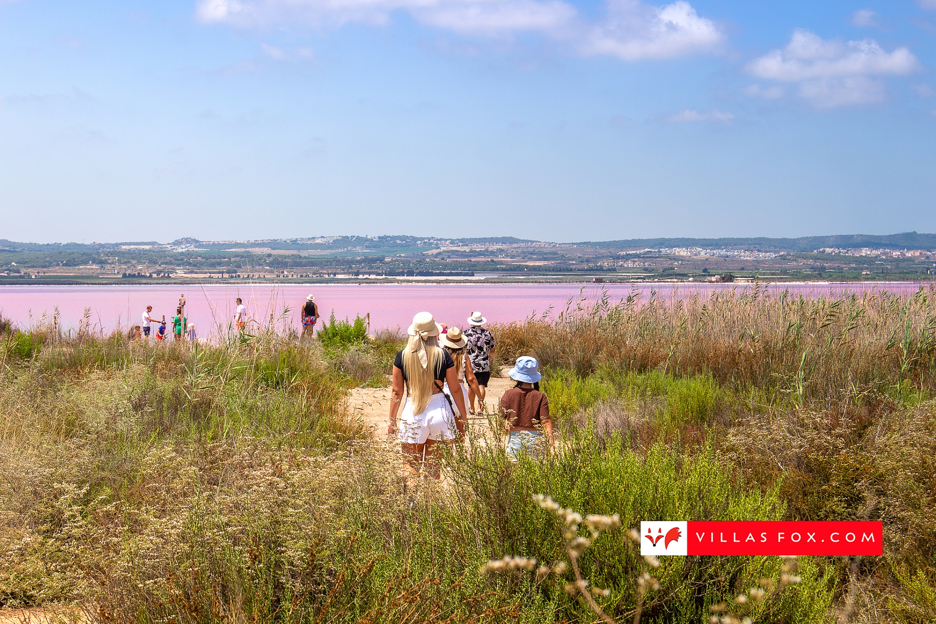 Stock photo San Miguel de Salinas Orihuela Costa-040