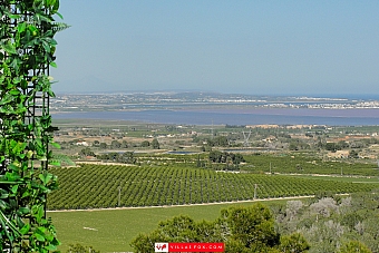 Los Pinos upper floor studio apartment with large terrace, San Miguel de Salinas-4