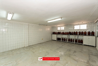 San Miguel de Salinas local commercial business premises for sale-19