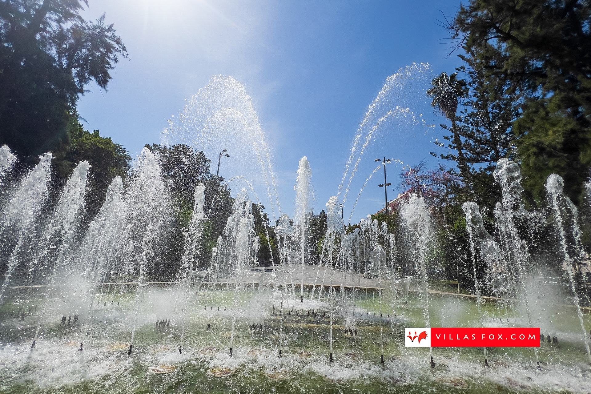 Generic stock photograph (San Miguel de Salinas and Orihuela Costa)-117 - copia